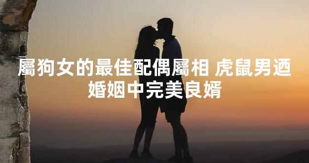 屬狗女的最佳配偶屬相 虎鼠男迺婚姻中完美良婿